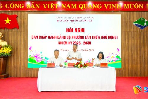 9 tháng, thu ngân sách trên địa bàn phường Sơn Trà ước đạt 1.332 tỷ đồng