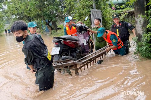 Mưa lớn gây ngập cục bộ tại nhiều địa phương ở Đồng Nai