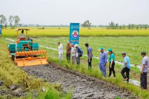 Mỹ Quí: Triển vọng từ mô hình xới vùi rơm rạ kết hợp sử dụng chế phẩm vi sinh