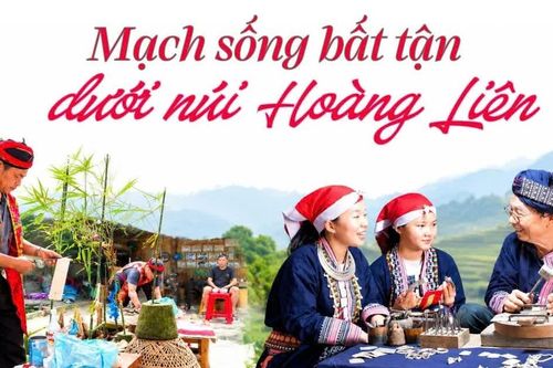 Mạch sống bất tận dưới núi Hoàng Liên