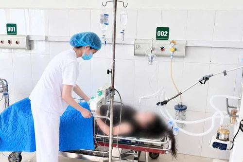 Cấp cứu thành công ca ngộ độc lá ngón suy hô hấp