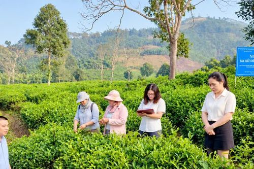 Tạo lực đẩy mới cho khoa học, công nghệ và đổi mới sáng tạo ở Lào Cai