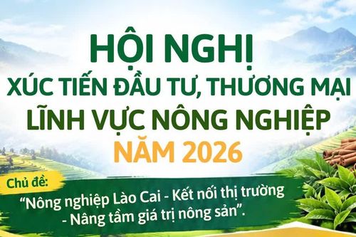 Hội nghị xúc tiến đầu tư, thương mại lĩnh vực nông nghiệp năm 2026