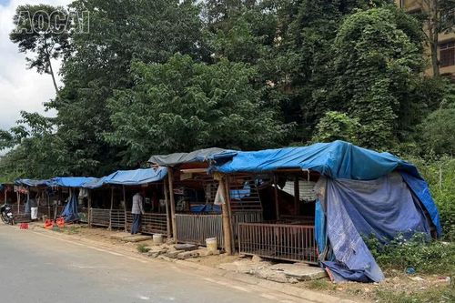 Cần sớm giải tỏa điểm tập kết, chăn nuôi lợn gây ô nhiễm trong khu dân cư ở Mường Khương