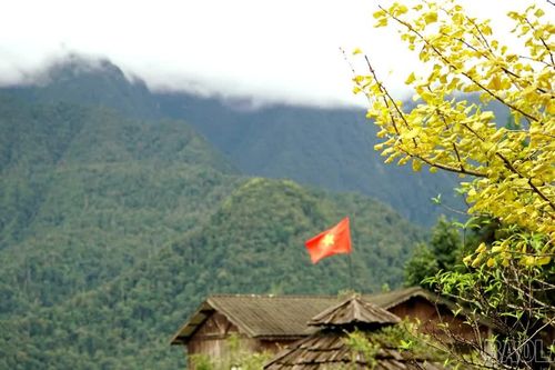 Sa Pa mùa ngân hạnh thay sắc