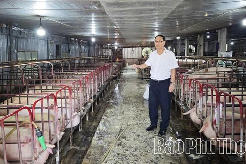 Tỷ phú nhà nông trên quê hương Đất Tổ