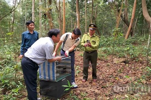 Mở rộng hợp tác, nâng tầm di sản