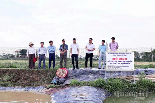Nuôi tôm càng xanh 2 giai đoạn: Tăng hiệu quả, giảm rủi ro