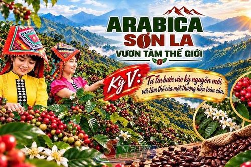 ARABICA SƠN LA – VƯƠN TẦM THẾ GIỚI • Kỳ V: Tự tin của một thương hiệu toàn cầu