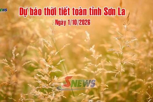 Dự báo thời tiết toàn tỉnh Sơn La ngày 1/10/2026