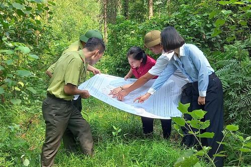 Giữ màu xanh Khuôn Mánh