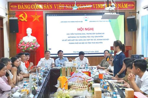 Hà Nội - Thái Nguyên kết nối tiêu thụ sản phẩm hợp tác xã