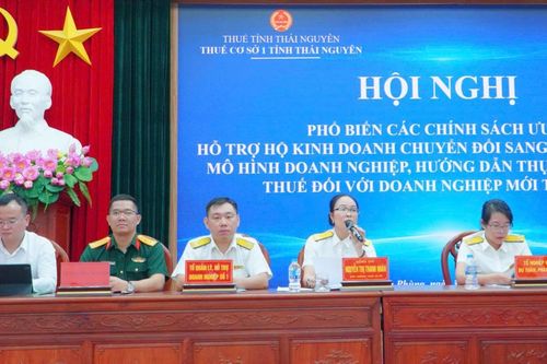 Gần 500 hộ, cá nhân kinh doanh được hỗ trợ chuyển đổi sang doanh nghiệp