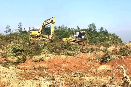 Phú Thọ: Cưỡng chế thu hồi đất hai trường hợp để hoàn thiện dự án khu công nghiệp Amane