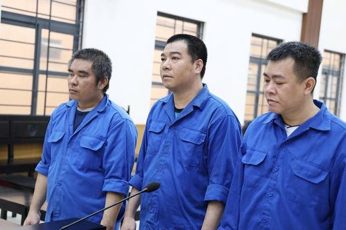 An Giang: 3 bị cáo lĩnh án vì cướp 54 tấn cá tra trừ tiền nợ