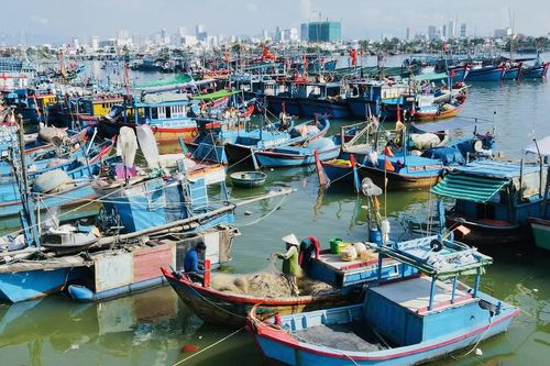 Khánh Hòa: Cảnh báo nguy cơ cháy tàu cá khi neo đậu tại cảng