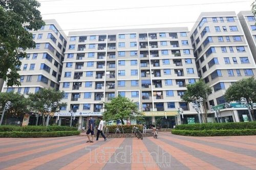 Đưa dự án nhà ở xã hội, nhà ở cho thuê vào nhóm "luồng xanh"
