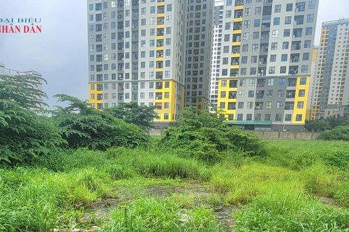 TP. Hồ Chí Minh: Giá khởi điểm cho thuê ngắn hạn 10 khu đất