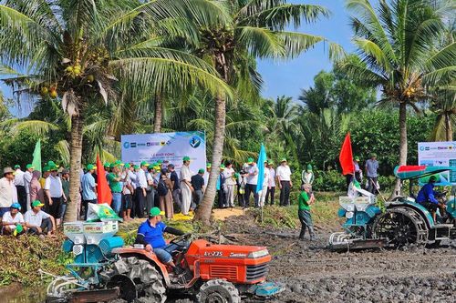 Hiệu quả mô hình lúa – tôm và sức khỏe đất sau mỗi mùa vụ