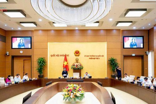 Cần rà soát các quy định về đấu thầu phù hợp đối với cơ sở y tế tuyến xã