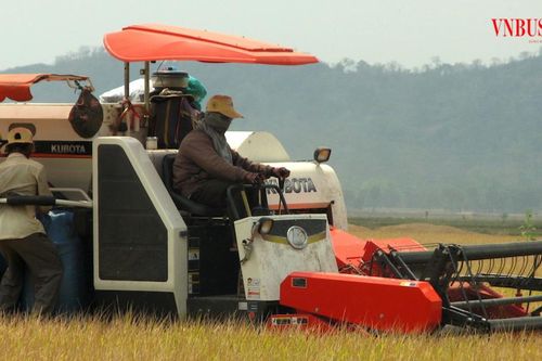 HTX kéo nông dân Đắk Liêng vào chuỗi giá trị