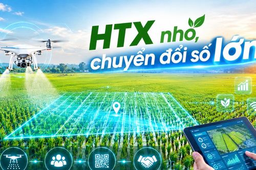 HTX nhỏ, chuyển đổi số lớn