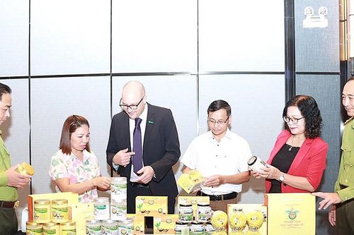 Tuyên Quang: Gắn bảo tồn đa dạng sinh học với sinh kế phụ nữ vùng cao