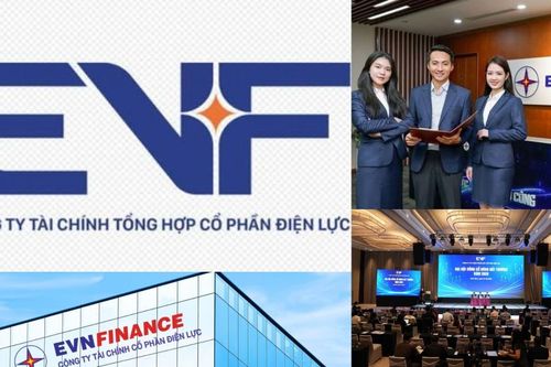 Tài sản phình to áp sát 100 nghìn tỷ đồng, EVF cấp tập gọi vốn gia cố bộ đệm