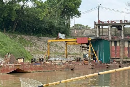 Bài 3: Kích điện không chỉ giết cá