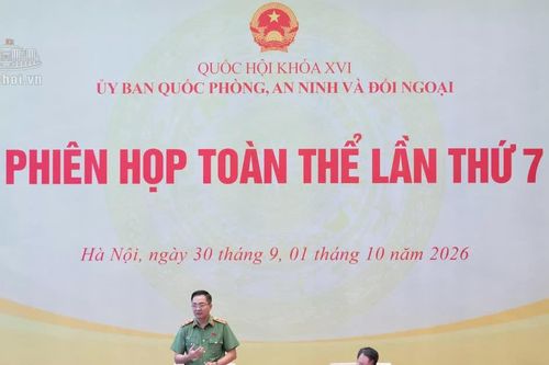 Thẩm tra 2 luật về quản lý vũ khí và phòng cháy chữa cháy