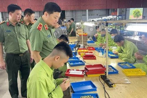 Quảng Ninh 'mở lối' làm lại cuộc đời cho học viên cai nghiện ma túy
