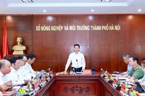 Hà Nội tăng tốc hoàn thành nhiệm vụ nông nghiệp, môi trường những tháng cuối năm