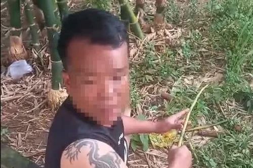 Bắt giữ đối tượng bị truy xét về hành vi hiếp dâm và cướp giật tài sản