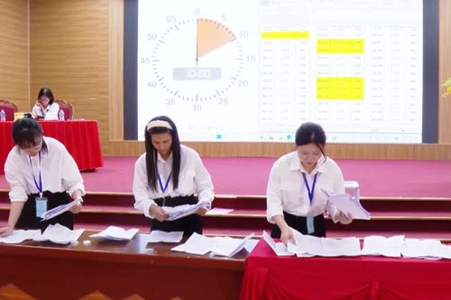 Xã Ứng Hòa đấu giá thành công 36 thửa đất