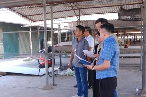Nhà vệ sinh chợ Dày thành nơi chăn nuôi - chính quyền vào cuộc xử lý