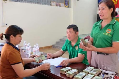 Nguồn vốn ưu đãi tiếp sức nông dân phát triển sản xuất