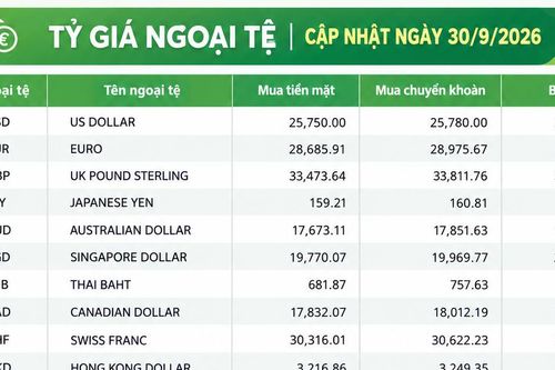 Tỷ giá ngoại tệ ngày 30/9: USD giữ mốc 26.160 đồng, SGD vượt 20.600 đồng
