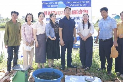 Quảng Trị: Kiểm tra thực địa mô hình nuôi cá mú Trân Châu trong ao đất bằng thức ăn công nghiệp