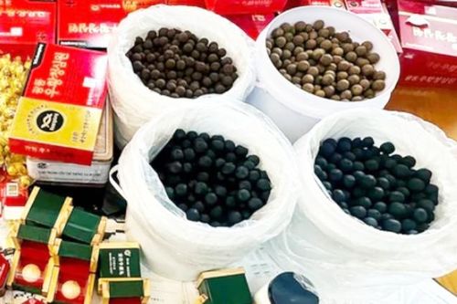 Bác sĩ chỉ cách phân biệt An Cung Ngưu Hoàng hoàn thật và giả
