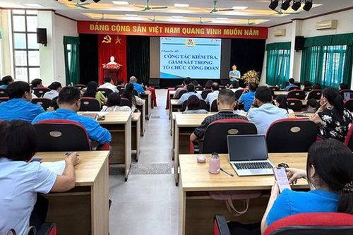 Nâng cao nghiệp vụ kiểm tra, giám sát Công đoàn từ cơ sở