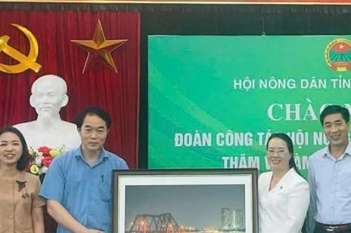 Mở hướng bền vững cho kinh tế nông nghiệp