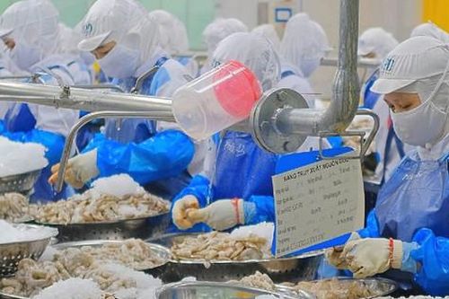 Cấp thiết xây dựng hệ sinh thái xuất khẩu toàn diện