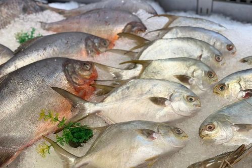 Loại cá rẻ bèo bán đầy chợ Việt được Nhật Bản ưa chuộng làm sushi và sashimi