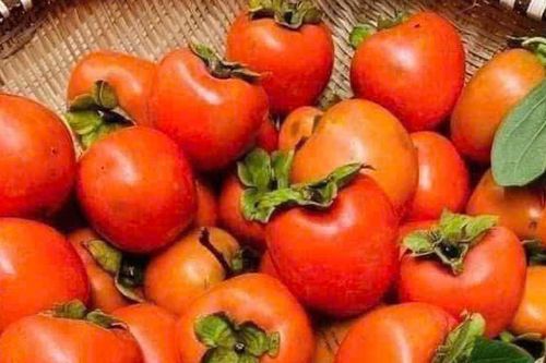5 tác dụng phụ của quả hồng cần lưu ý khi ăn