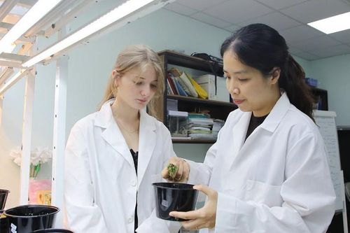Hai chỉ số đổi mới sáng tạo của Việt Nam đứng đầu thế giới
