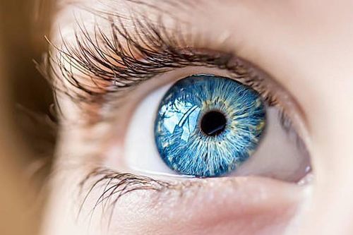 Có cần bổ sung vitamin và khoáng chất để bảo vệ mắt?