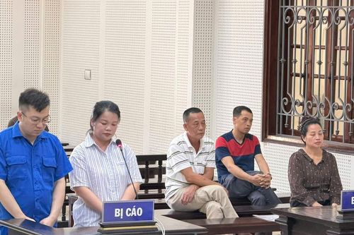 Chiếm đoạt hơn 12 tỷ đồng, cặp vợ chồng lĩnh án gần 38 năm tù