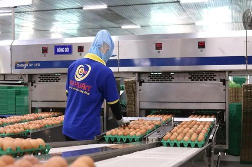 Nợ hơn 600 tỷ đồng, chủ thương hiệu trứng gà Ba Huân bị ngân hàng xiết nợ loạt bất động sản, chuồng trại, máy móc