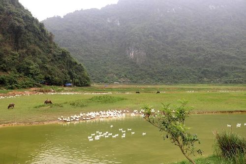 Tìm 'Điểm đến du lịch nông thôn Việt Nam tốt nhất' năm 2026