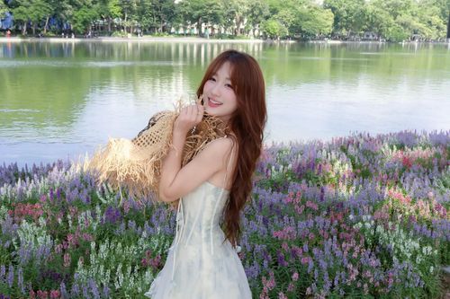 Thảm violet Nhật khiến nàng thơ 'đứng ngồi không yên' ở Hồ Gươm